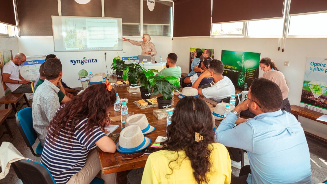 Crop days Agadir