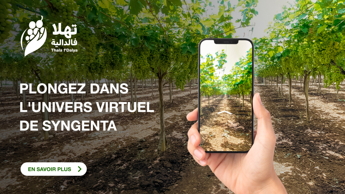 Visite Virtuelle