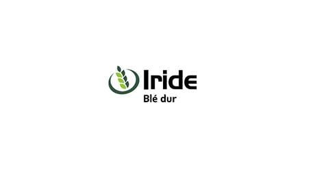 SY Iride