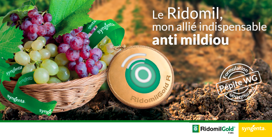 ridomil