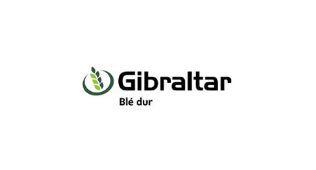 Gibraltar Blé dur