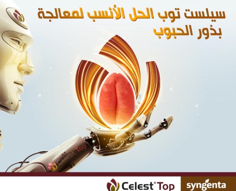 Solution_Celest_Top