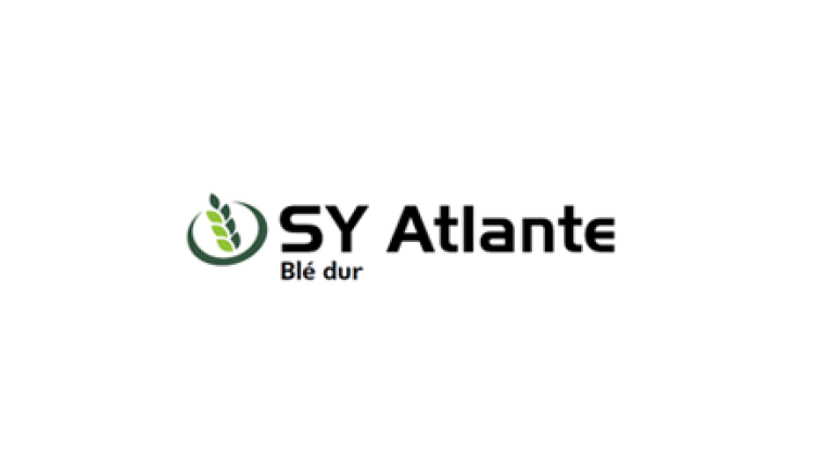 Teaser_SY_Atlante