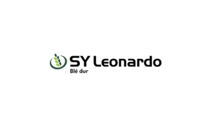 Teaser_SY_Leonardo