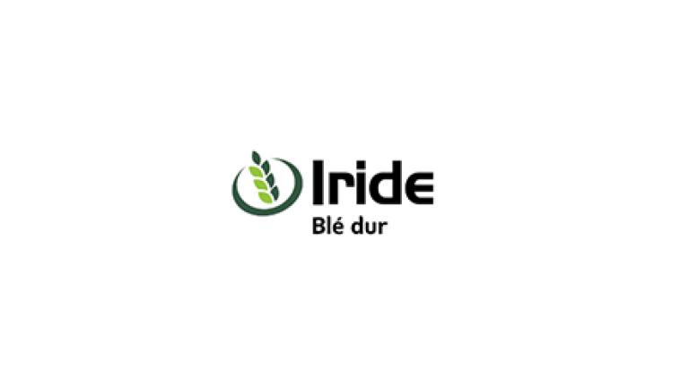 SY Iride