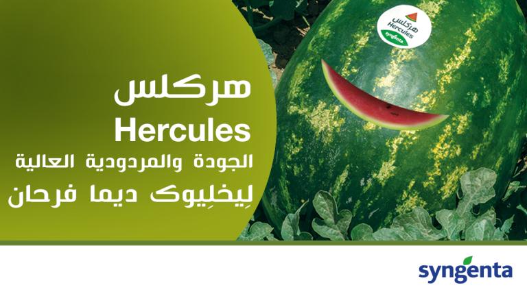 Hercules