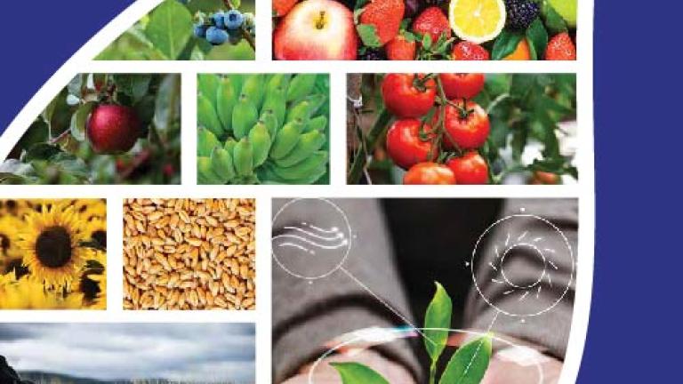 Catalogue Produits Syngenta Maroc 2023