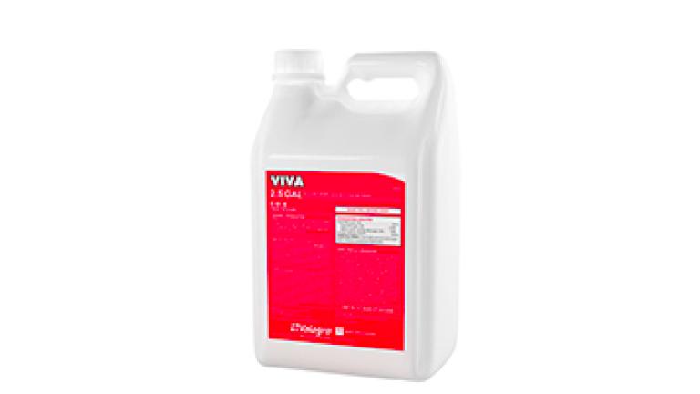 viva
