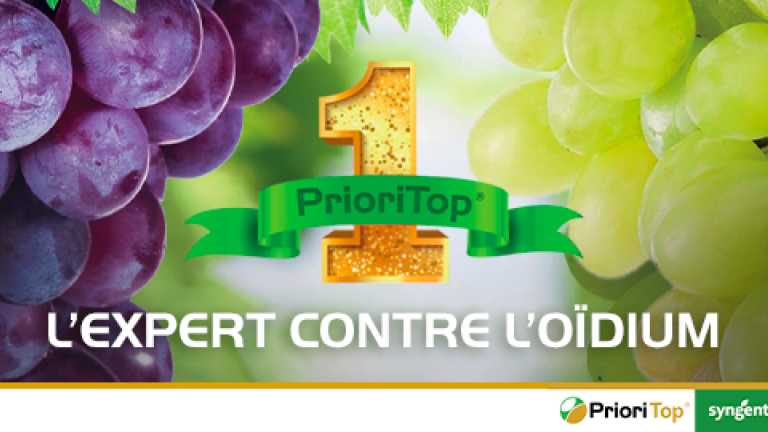 priori