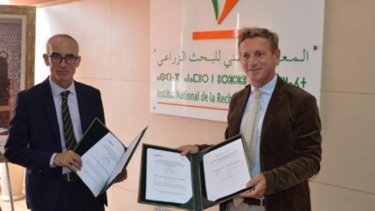 Partenariat Syngenta INRA