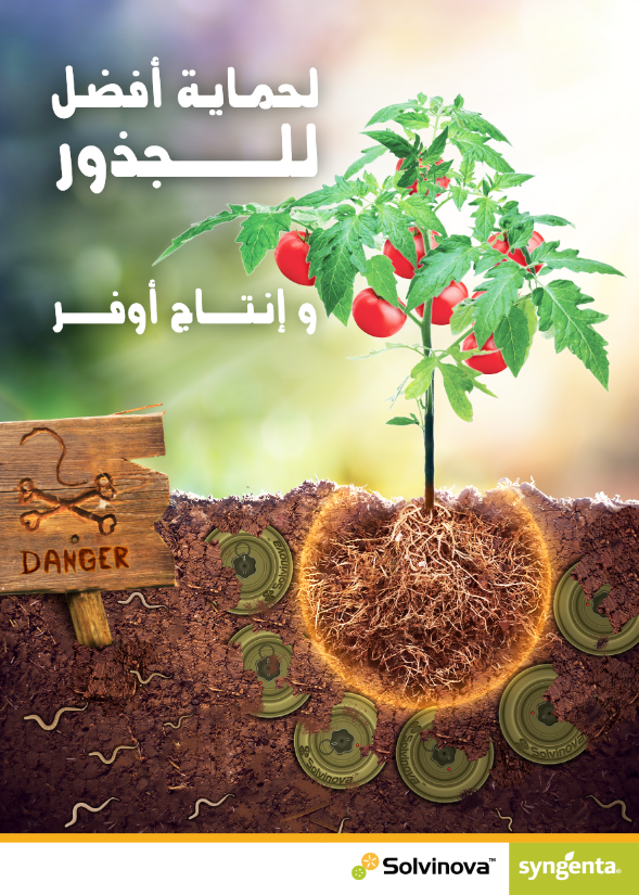 نيماتودا تعقد الجذور