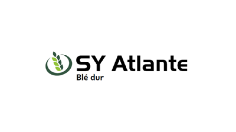 Teaser_SY_Atlante