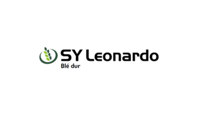 Teaser_SY_Leonardo